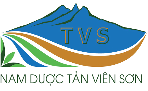 Nam dược Tản Viên Sơn